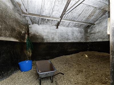 Picture 15